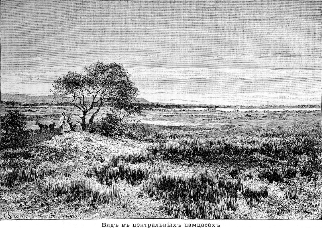 501 Вид в центральных пампасах